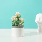 Botanica Artificial Succulent in Pot Table Decor for Home Party Office Spa Cafe