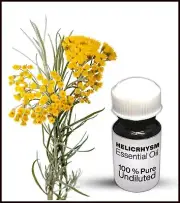 Helichrysum Essential Oil 100% Pure Undiluted (10ML-500ML)