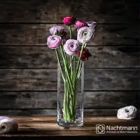 在飛比找PChome24h購物優惠-【Nachtmann】簡約時尚款-晶漾花瓶-style25c