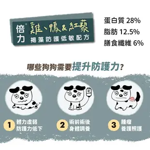 免運 倍力 全護低敏機能加強犬飼料 艷色護眼/褐藻防護/ 1.5kg/6.8kg 幼犬/成犬/老犬 全齡犬 飼料