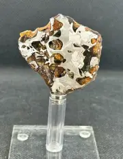 SEYMCHAN METEORITE PALLASITE FULL SLICE 23,5 g