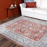 Brand Ventures Salsa Luda Terracotta Transitional Rug