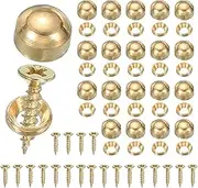 uxcell Brass Decorative Screws with Caps, Mirror Screw Self Tapping Screws Decorative Cover - Fitting for(Furniture Fixing- Wall Hangings - Wood Handcrafted) 9mm & 20 Pack & Yellow