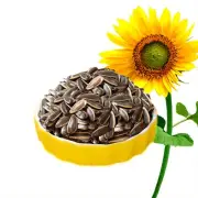 8 oz Roasted Sunflower Seeds Chinese Style Pecan Flavor Guazi Shanhetaowei