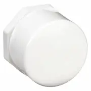 Hex Head Cap: 2 in Fitting Pipe Size, Schedule 40,P/N:448-020 (8Pk)