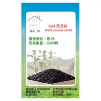 在飛比找PChome24h購物優惠-【蔬菜工坊】G64.黑芝麻(胡麻)種子