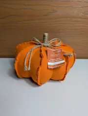 New with Tag 8.5" Orange Fabric Tabletop Pumpkin Patch by Ashland ® Decor Fall