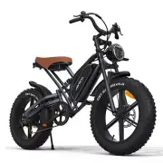 20" Electric Bicycle 750W 48V 14Ah Motorcycle Fat Tire Mountain Bike MTB E-bike