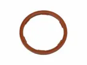 For 2000-2006, 2008-2009 Audi TT Engine Oil Level Sensor O-Ring 77285MB 2001 (for: Audi)
