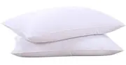 Goose Feathers and Down White Pillows with Standard (Pack of 2) Classic White