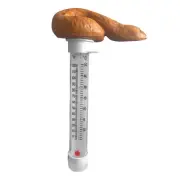 Spoof Poo Pool Thermometer Float Thermometer Floating Garden Water Temperature