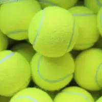 在飛比找Yahoo!奇摩拍賣優惠-硬式網球 練習網球 台灣製 (空白)一大箱300個入(定40