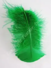 Green Craft Feathers Turkey Plumage per one ounce package
