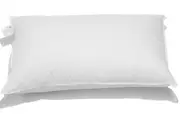 Alliance Down Surround Pillow