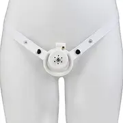 SM Inverted Chastity Cage SM Sex Toys Flat Chastity Cage Male Cage Chastity Device Chastity Lock Beginner Cage to Prevent Erection Bondage for Men