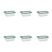 6PK Ecology Store Rectangle Clear Glass Food Storage Container 370ml Eucalyptus