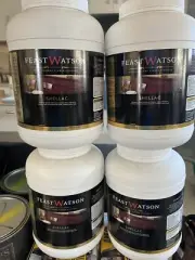 Feast Watson 1 Kg Shellac Flakes Professional Quality Timber Finish