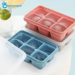 6 GRIDS BIG ICE TRAY MOLD/ FOOD GRADE PP SILICONE SQUARE ICE