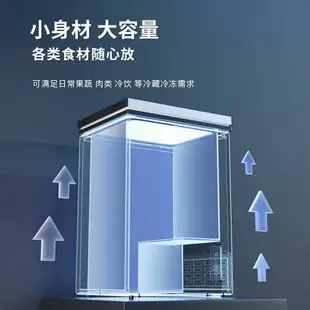 冷凍櫃 熊貓冰柜小型家用小冰柜冷凍冷藏兩用冷凍柜省電大容量迷你