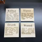 Wood Coaster Set Laser Engraved Sober Tipsy Drunk Wasted Funny Gift