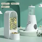 Anti rollover Hamster Feeding Leak Proof Pet Water Dispenser Golden Bear