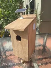 Wifi Camera Bird nesting box