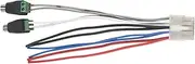 Ronyme Car Amplifier Speaker Power Input Wire Harness for Dual Tbx10A Amplifiers