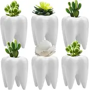 LECMACY Cute Tooth Shaped White Ceramic Planter Pots Flower Plant Containers, Mini Ceramic Succulent Planter Pots, Creative Pen Pencil Holder for Office Home Desk Decor (6 Pcs)