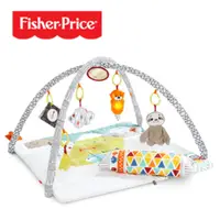 在飛比找PChome24h購物優惠-【奇哥】Fisher-Price 費雪 感官訓練可愛動物健身