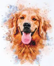 Cross stitch kit - Friend 30x38cm White Aida 14ct needlepoint kit