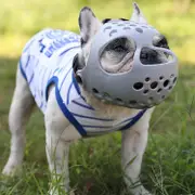 Dog Muzzle For Short Snout Dogs, Soft Silicone Muzzle For Biting Chewing, Ideal For Flat-faced Aggressive Dogs Grey L