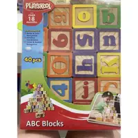 在飛比找蝦皮購物優惠-PLAYSKOOL 兒童益智積木