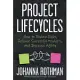 Project Lifecycles: How to Reduce Risks, Release Successful Products, and Increase Agility