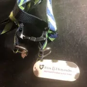 Fox & Hounds No Pull Dog Harness 1” XL green blue 60-130 pounds 26-36 inches