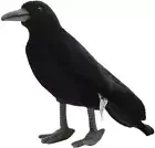 Crow Realistic Stuffed Plush Doll HANSA BH6266 New