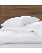 Ella Jayne Cotton Mesh Gusseted Shell Medium Density Memory Fiber Pillow, for All Sleep Positions