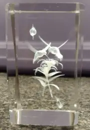 Laser Etched Hummingbird Ornament.