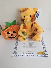 Build A Bear Pumpkin Kitty W/ Costume 2024 Vault Collection Stuffed Animal