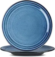 Hasense Ceramic Dinner Plates Set of 2,10 Inch Large Porcelain Pasta and Salad Plates,Blue Stoneware Plate Set Microwave,Oven,and Dishwasher Safe