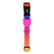 NEW Zee.Dog Prisma Dog Collar By Anaconda