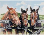 "Horses" Printed Needlepoint Tapestry Canvas Collection D'arts 11500