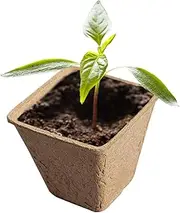 Rukjmqi Seedling Peat Pots,Houseplant Growing Pots - Plant Propagator Station Tray, Germination Containers for Vegetable