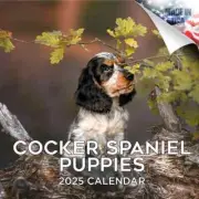 COCKER SPANIEL PUPPIES Wall Calendar 2025 Animal DOG PET Lover Gift