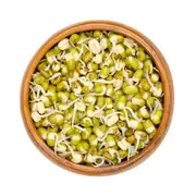 Mung Bean Seeds (Sprout)