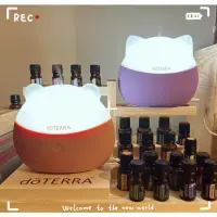 在飛比找蝦皮購物優惠-多特瑞doTERRA 乖巧熊/樂福貓（幸福貓）香薰機 水氧機