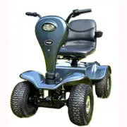 DM418Pro mobility scooter off road all terrain golf buggy