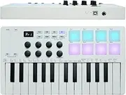 25 Keys Midi Keyboard Controller, Mini Portable Bluetooth Beat Maker Machine with 8 Backlit Drum Pads & 8 Knobs, Professional dynamic Keybed for Music Production