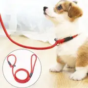 Red Slip Puppy Lead Nylon Rope Dog Training Correction Leash Pet 6mm