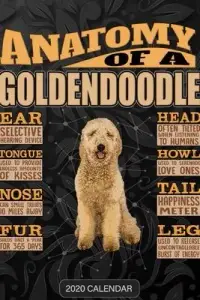在飛比找博客來優惠-Anatomy Of A Goldendoodle: Gol