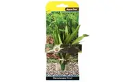 13cm Small African Onion Aquarium Plant Silk For Fish Tanks And Aquariums by Aqua One